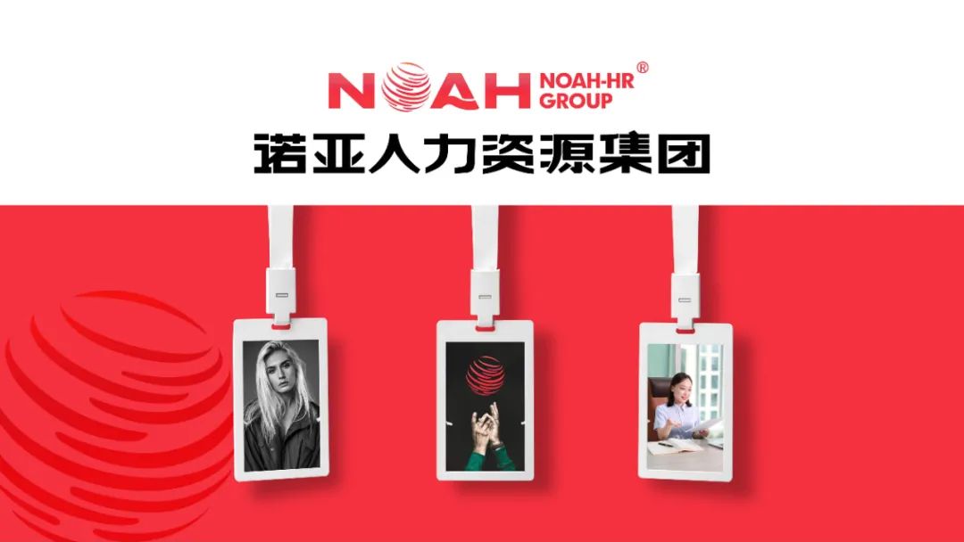 經營產值56.58億，利稅總額1.6億 | 諾亞集團2024年企業(yè)發(fā)展年報新鮮出爐